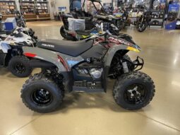 2022 Polaris Phoenix 200