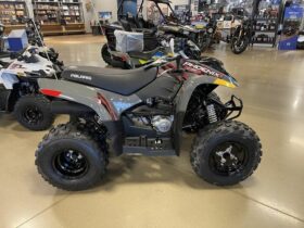 2022 Polaris Phoenix 200