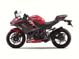 2019 Kawasaki Ninja 400 (EX400G)