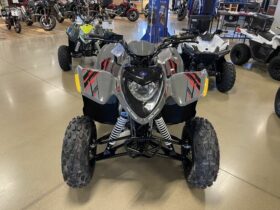 2022 Polaris Phoenix 200