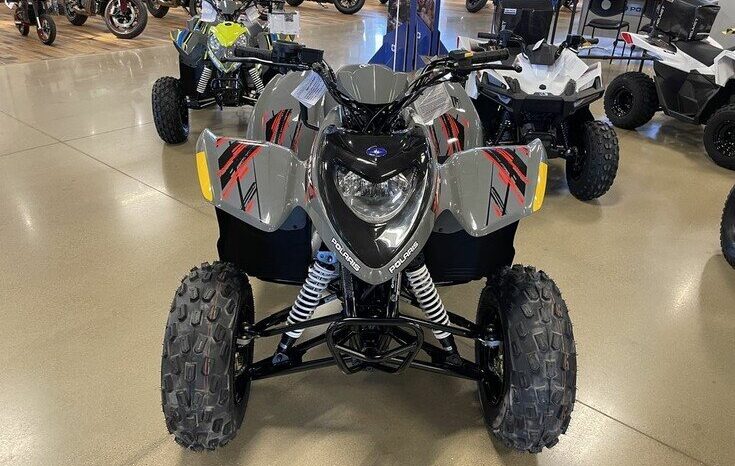 
								2022 Polaris Phoenix 200 full									