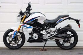 2019 BMW G 310 R