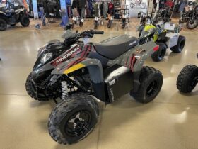 2022 Polaris Phoenix 200