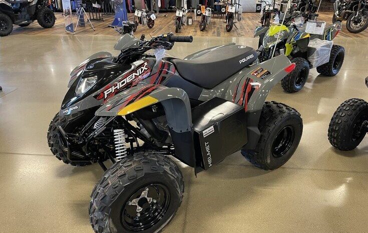 
								2022 Polaris Phoenix 200 full									