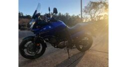 
										2007 Suzuki V-Strom 650 (DL650) full									