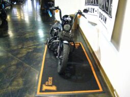 
										2020 Harley-Davidson Iron 1200 (XL1200NS) full									