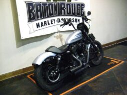 
										2020 Harley-Davidson Iron 1200 (XL1200NS) full									