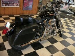 2009 Harley-Davidson 1200 Custom (XL1200C)