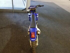 2006 Yamaha WR450F