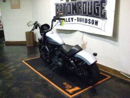 
										2020 Harley-Davidson Iron 1200 (XL1200NS) full									